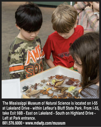 Children at the Mississippi Museum of Natural Science