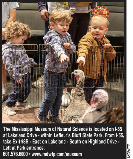 Children interact with live turkeys at the Mississippi Museum of Natural Science in LeFleur’s Bluff State Park in Jackson, Mississippi.