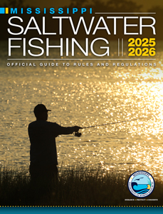 Cover of the 2025–2026 Mississippi Saltwater Fishing regulations guide showing an angler casting at sunset along a calm shoreline.