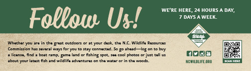 Ad for North Carolina Wildlife Commission Social Media