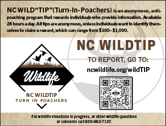 Ad for NC WILD TIP Turn-In-Poachers Program