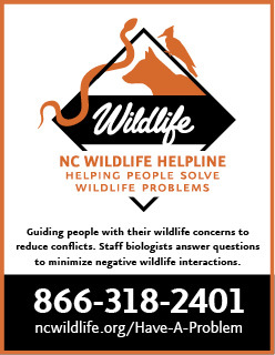 Ad for NC Wildlife Helpline