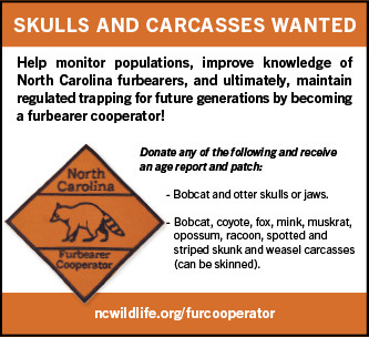Ad For North Carolina Furbearer Cooperator Program