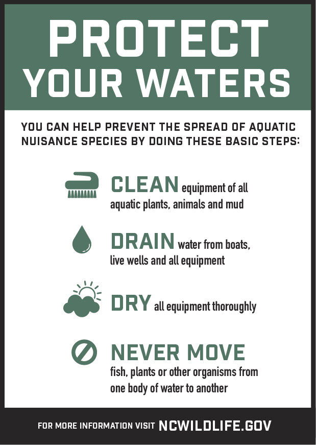 Educational poster titled “Protect Your Waters” from the North Carolina Wildlife Resources Commission. It outlines four steps to stop the spread of aquatic nuisance species: Clean equipment, Drain all water, Dry thoroughly, and Never move fish or plants between water bodies.