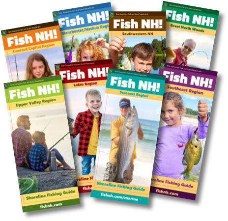 New Hampshire Shoreline Fishing Guide Brochures