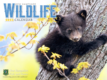 2023 New Hampshire Wildlife Calendar