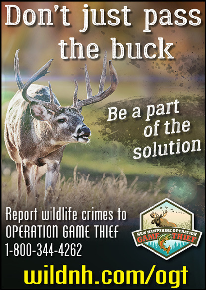New Hampshire Operation Game Thief Information