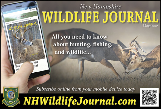 New Hampshire Wildlife Journal Information