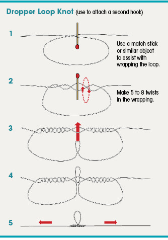 Drooper Loop knot diagram