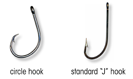 Comparison image showing a circle hook and a standard J hook used in fishing, highlighting their different shapes.