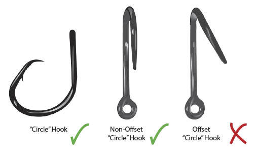 Circle Hook illustrations