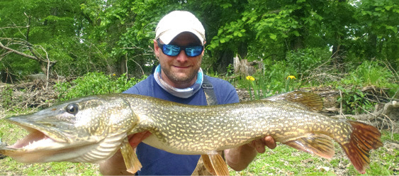 Justin Lerner holding a beautiful Northern Pike caught while bank fishing the Passaic River.