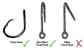 circle hooks
