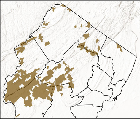 Current distribution map of watersheds containing wild Brown Trout in New Jersey.