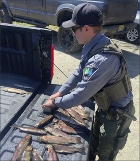 CPO Cowan Sikora investigates a case of taking trout over the daily limit at Silver Lake, Hardyston Township, April 2023.