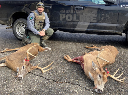 Conservation Police Officer Salvatore Garofalo with the two Pennsylvania bucks illegally transported to and dumped in New Jersey.