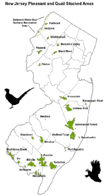 Map of Pheasant and Quail Stocked Areas in New Jersey