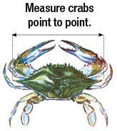 NEW JERSEY REGULATIONS 150' Crabbing Trotline Brand New!! 
