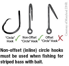 Using Circle Hooks - New Jersey Saltwater Fishing