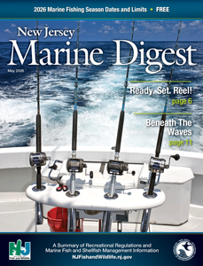 Cover of the 2026 New Jersey Marine Digest featuring multiple offshore fishing rods mounted on a boat with ocean water in the background. The New Jersey saltwater fishing regulations guide highlights marine fishing season dates, limits, and recreational fishing information.