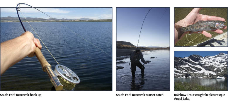 Nevada fishing spots