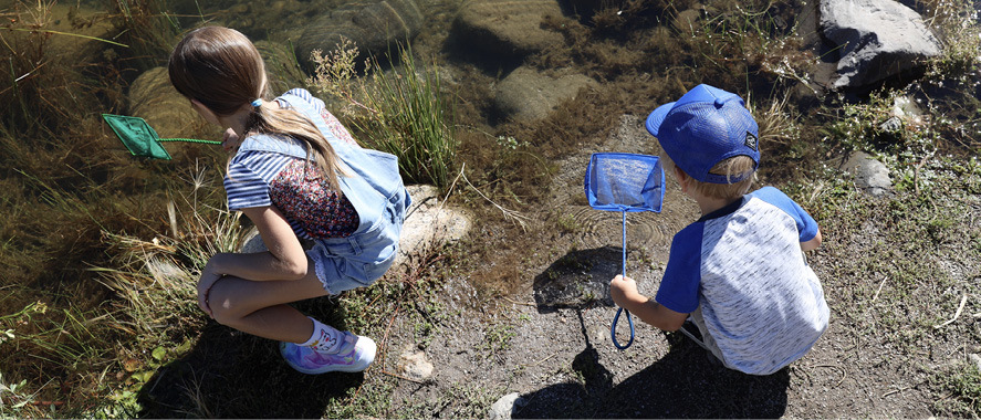 Two kids fishing in a stream