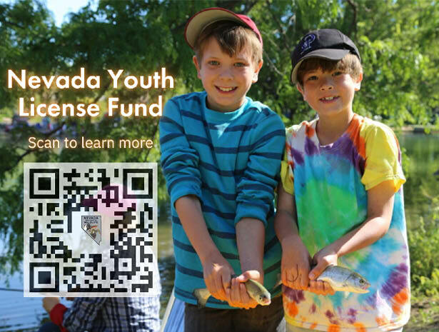 Nevada Youth License Fund Information
