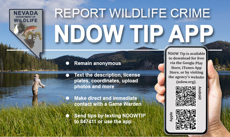 Information on How to Report Wildlife Crime with the NDOW Tip App