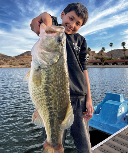 Boy holding largemouth bass