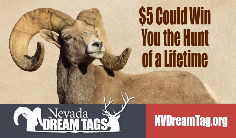 Nevada Dream Tags promotion featuring a desert bighorn sheep ram and text explaining that a $5 entry could win a once-in-a-lifetime Nevada big game hunt.