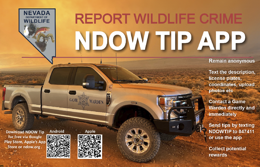 Nevada Department of Wildlife game warden truck in a desert landscape promoting the NDOW Tip App for reporting wildlife crime anonymously.