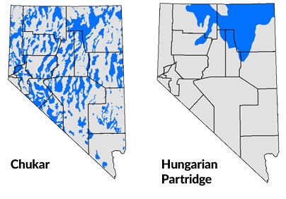 chukar and hungarian partridge distribution map