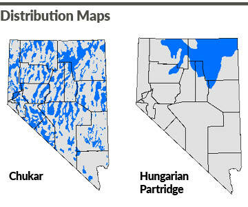 Nevada Chukar and Hungarian Partridge Distribution Maps