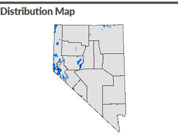 Nevada Mountain Quail Distribution Map