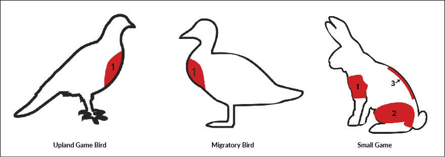 Illustration showing an example of areas where edible meat can be taken from upland game bird, migratory bird, and small game.