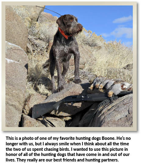Director Alan Jenne's hunting dog Boone