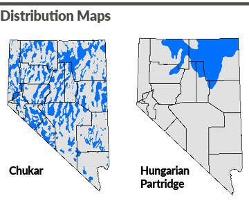 Nevada Chukar and Hungarian Partridge Distribution Maps
