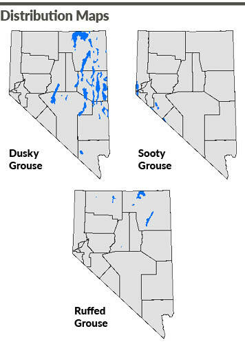 Nevada Dusky Grouse, Sooty Grouse, and Ruffed Grouse Distribution Maps