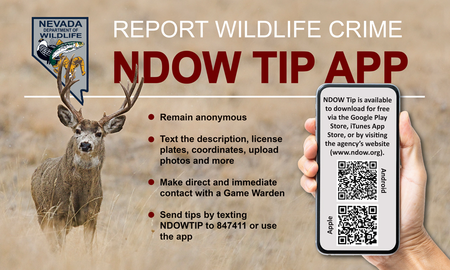 Advertisement for NDOW Tip App used to report wildlife crime