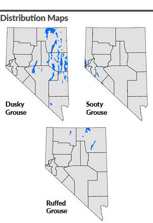 Nevada Dusky Grouse, Sooty Grouse, and Ruffed Grouse Sistribution Maps