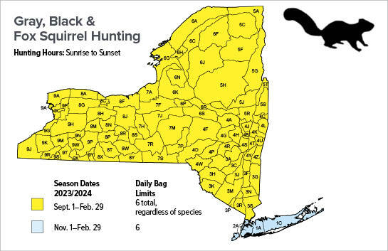 Map of Gray, Black and Fox Squirrel Hunting Seasons in New York