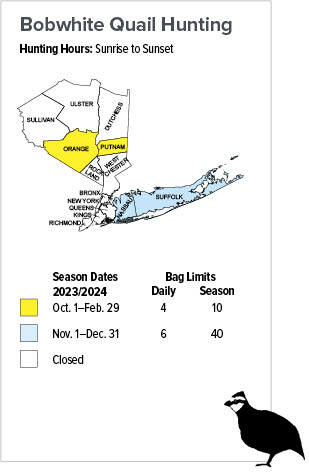 Map of Bobwhite Quail Hunting Seasons in New York