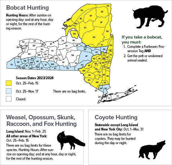Furbearer Trapping Season Dates & Bag Limits New York Hunting