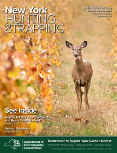 Cover of the New York 2025–2026 Hunting & Trapping Official Guide showing a white-tailed deer standing on a trail lined with colorful autumn leaves.