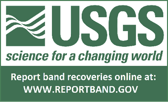 Information about reporting banded birds online at ReportBand.gov