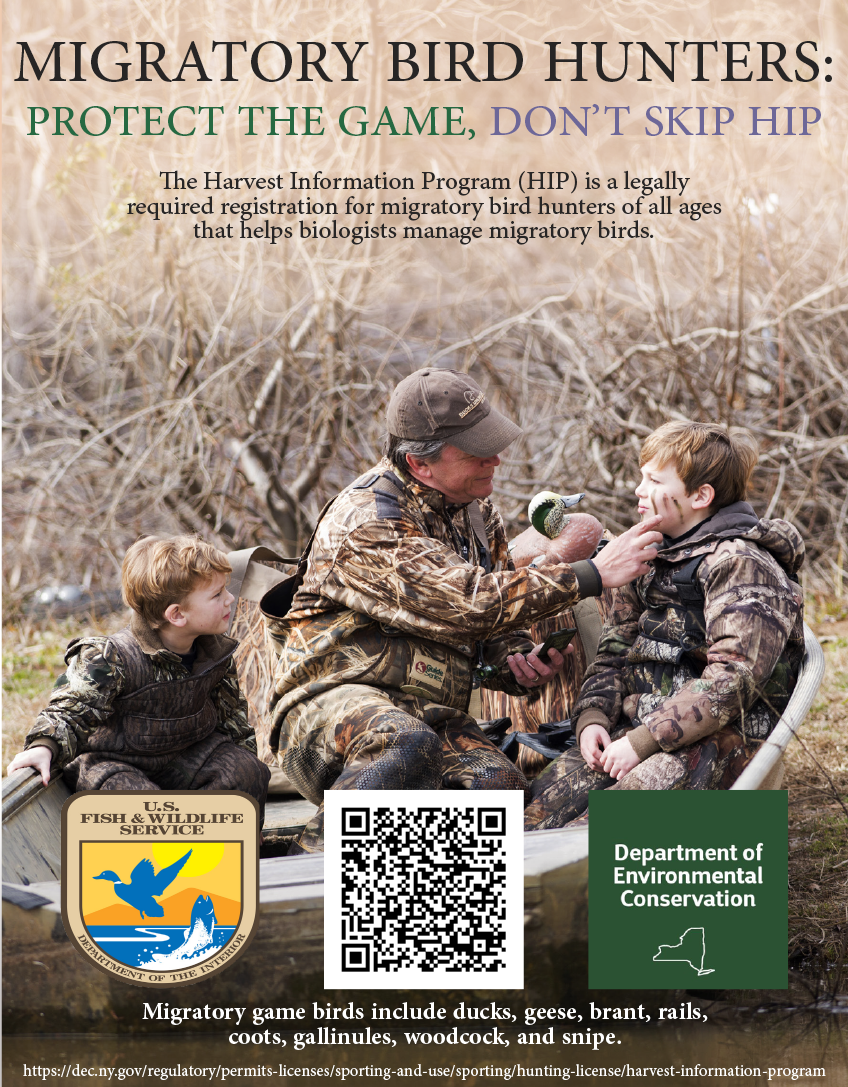 Information about Harvest Information Program (HIP) Registration for Migratory Bird Hunters