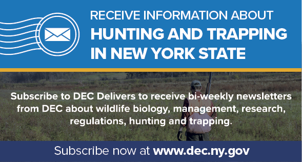 Subscribe to New York DEC Delivers bi-weekly email newsletters about regulations, wildlife biology and more.