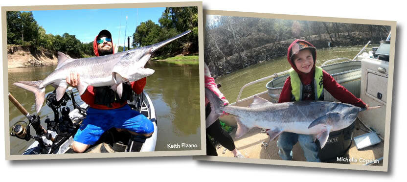 Regulaciones sobre el Pez Espátula - Oklahoma Fishing