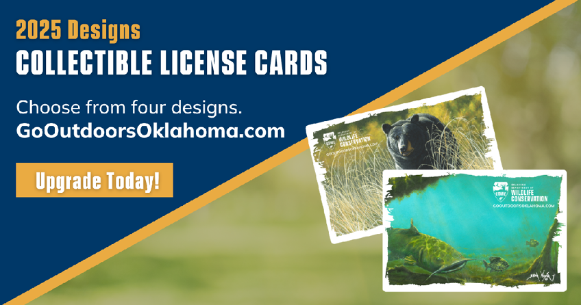 Oklahoma Collectible License Cards 2025 Designs - Upgrade Today!