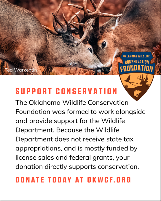 Donate to support the Oklahoma Wildlife Conservation Foundation